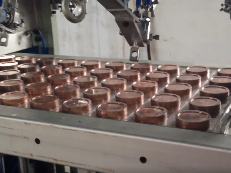 自动吸塑食物包装机的应用与优势